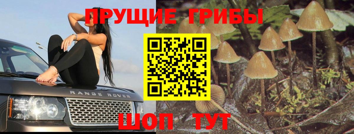 Галлюциногенные грибы MAGIC MUSHROOMS  Вход с VPN  Дзержинск 
